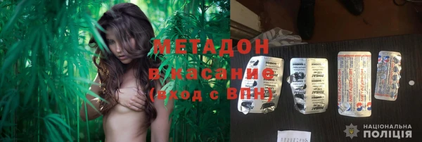 стаф Аркадак