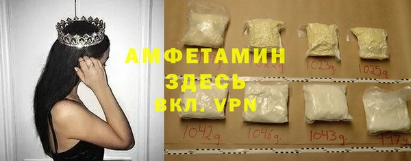 стаф Аркадак