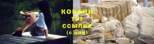 стаф Аркадак
