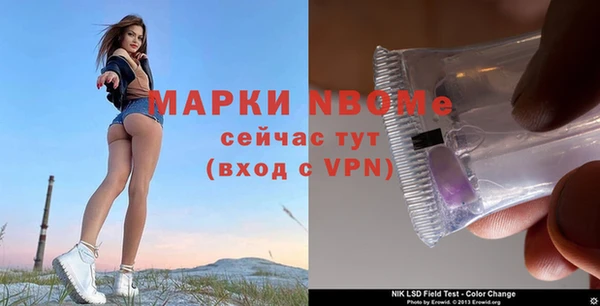 стаф Арсеньев