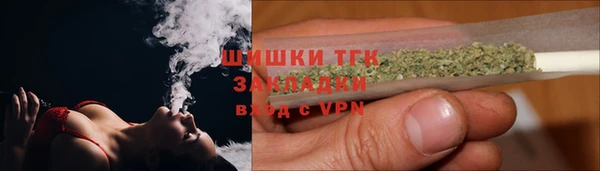 стаф Аркадак