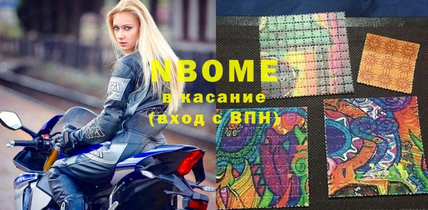 стаф Аркадак