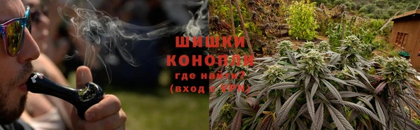 стаф Аркадак