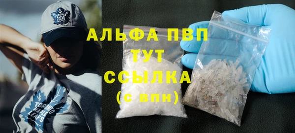 стаф Арсеньев